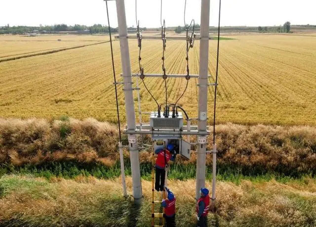 配電箱助力“電力保”―農(nóng)民有了“電力?！碑a(chǎn)業(yè)發(fā)展質(zhì)效