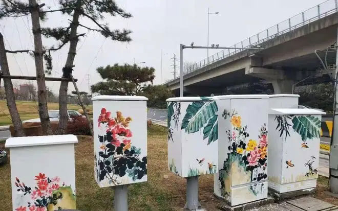 街頭配電箱變身“藝術品”，成為一道靚麗風景線